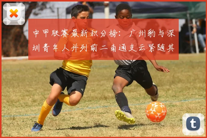 中甲联赛最新积分榜：广州豹与深圳青年人并列前二南通支云紧随其后